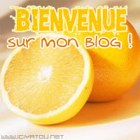 Bienvenue !